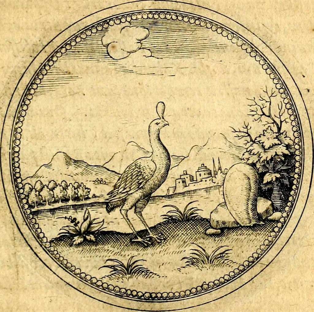 An illustration from Joachimi Camerarii Symbolorvm et emblematvm centvriæ tres. I. Ex herbis & stirpibus. II. Ex animalibus quadrupedibus. III. Ex volatilibus & insectis. Accessit noviter centvria IV. Ex aquatilibus & reptilibus. Cvm figvris æneis, 1605, leaf 504