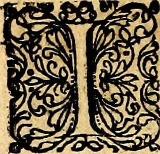 An illustration from Joachimi Camerarii Symbolorvm et emblematvm centvriæ tres. I. Ex herbis & stirpibus. II. Ex animalibus quadrupedibus. III. Ex volatilibus & insectis. Accessit noviter centvria IV. Ex aquatilibus & reptilibus. Cvm figvris æneis, 1605, leaf 507