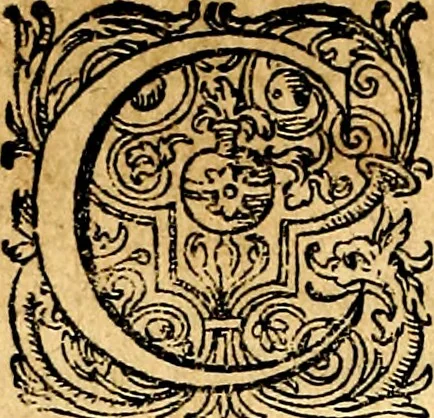 An illustration from Joachimi Camerarii Symbolorvm et emblematvm centvriæ tres. I. Ex herbis & stirpibus. II. Ex animalibus quadrupedibus. III. Ex volatilibus & insectis. Accessit noviter centvria IV. Ex aquatilibus & reptilibus. Cvm figvris æneis, 1605, leaf 511