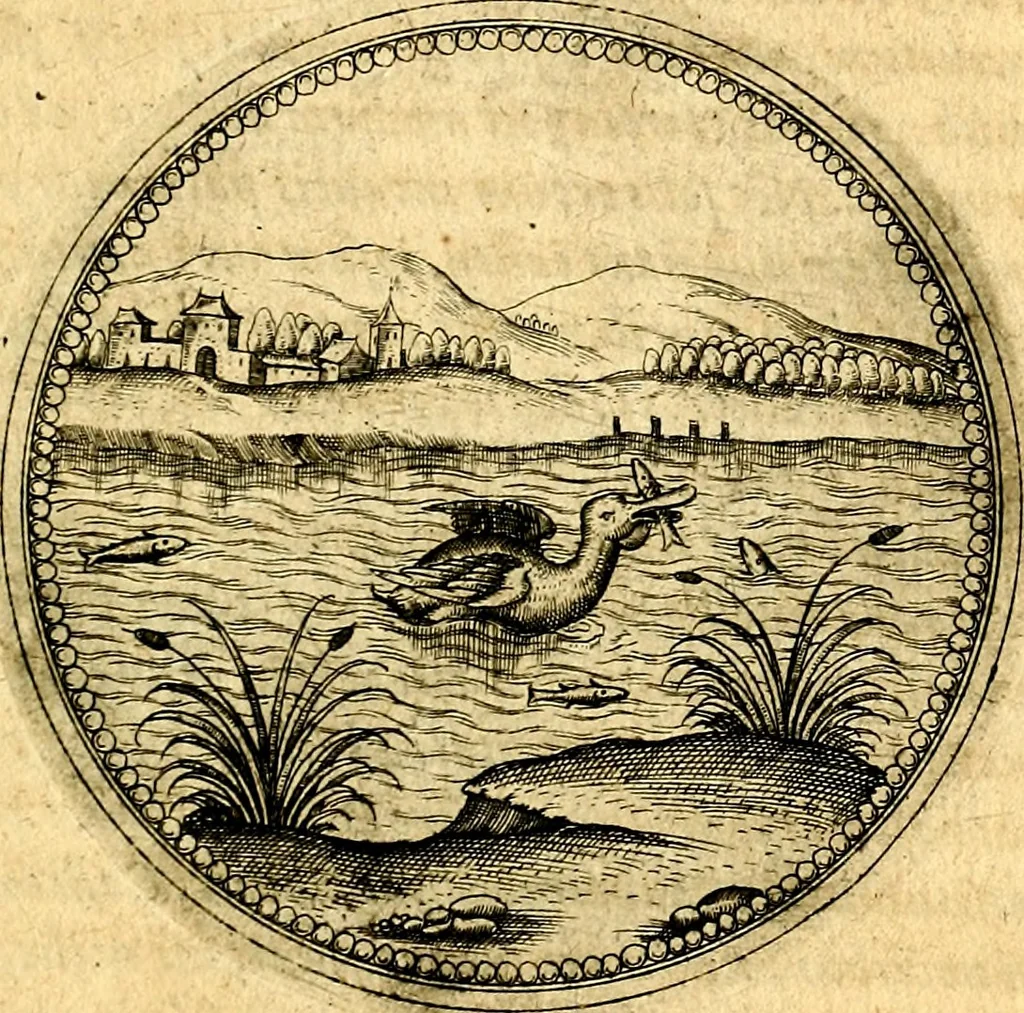 An illustration from Joachimi Camerarii Symbolorvm et emblematvm centvriæ tres. I. Ex herbis & stirpibus. II. Ex animalibus quadrupedibus. III. Ex volatilibus & insectis. Accessit noviter centvria IV. Ex aquatilibus & reptilibus. Cvm figvris æneis, 1605, leaf 514