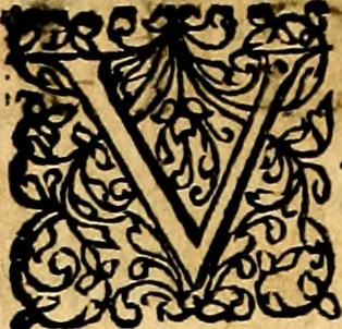 An illustration from Joachimi Camerarii Symbolorvm et emblematvm centvriæ tres. I. Ex herbis & stirpibus. II. Ex animalibus quadrupedibus. III. Ex volatilibus & insectis. Accessit noviter centvria IV. Ex aquatilibus & reptilibus. Cvm figvris æneis, 1605, leaf 517