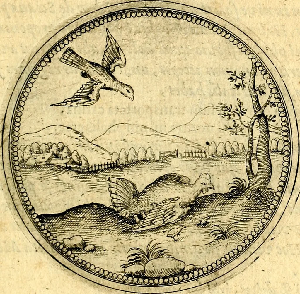 An illustration from Joachimi Camerarii Symbolorvm et emblematvm centvriæ tres. I. Ex herbis & stirpibus. II. Ex animalibus quadrupedibus. III. Ex volatilibus & insectis. Accessit noviter centvria IV. Ex aquatilibus & reptilibus. Cvm figvris æneis, 1605, leaf 520
