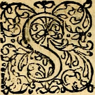 An illustration from Joachimi Camerarii Symbolorvm et emblematvm centvriæ tres. I. Ex herbis & stirpibus. II. Ex animalibus quadrupedibus. III. Ex volatilibus & insectis. Accessit noviter centvria IV. Ex aquatilibus & reptilibus. Cvm figvris æneis, 1605, leaf 521