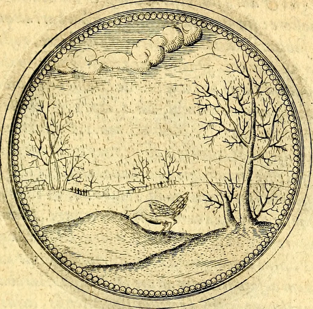 An illustration from Joachimi Camerarii Symbolorvm et emblematvm centvriæ tres. I. Ex herbis & stirpibus. II. Ex animalibus quadrupedibus. III. Ex volatilibus & insectis. Accessit noviter centvria IV. Ex aquatilibus & reptilibus. Cvm figvris æneis, 1605, leaf 522