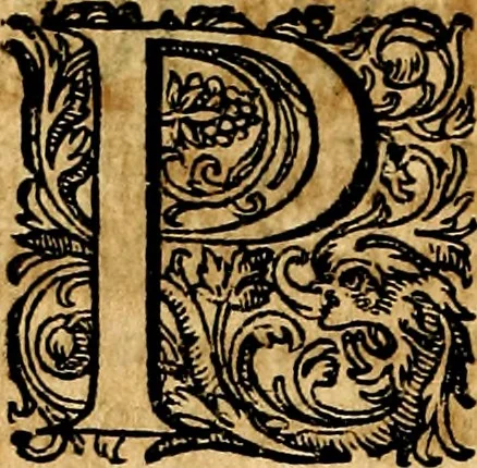 An illustration from Joachimi Camerarii Symbolorvm et emblematvm centvriæ tres. I. Ex herbis & stirpibus. II. Ex animalibus quadrupedibus. III. Ex volatilibus & insectis. Accessit noviter centvria IV. Ex aquatilibus & reptilibus. Cvm figvris æneis, 1605, leaf 539