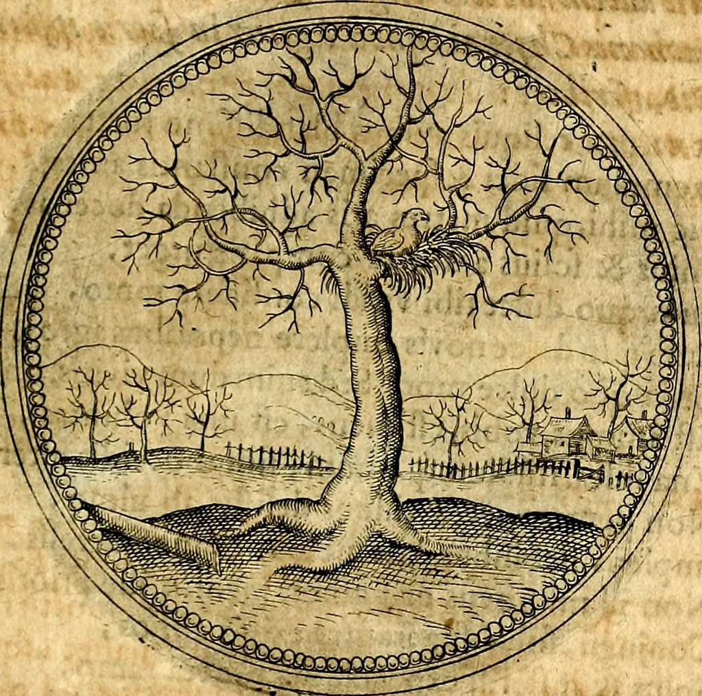 An illustration from Joachimi Camerarii Symbolorvm et emblematvm centvriæ tres. I. Ex herbis & stirpibus. II. Ex animalibus quadrupedibus. III. Ex volatilibus & insectis. Accessit noviter centvria IV. Ex aquatilibus & reptilibus. Cvm figvris æneis, 1605, leaf 540