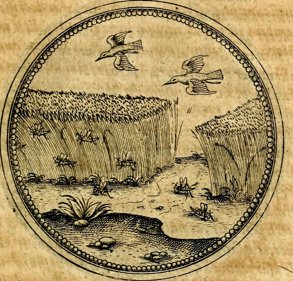 An illustration from Joachimi Camerarii Symbolorvm et emblematvm centvriæ tres. I. Ex herbis & stirpibus. II. Ex animalibus quadrupedibus. III. Ex volatilibus & insectis. Accessit noviter centvria IV. Ex aquatilibus & reptilibus. Cvm figvris æneis, 1605, leaf 548