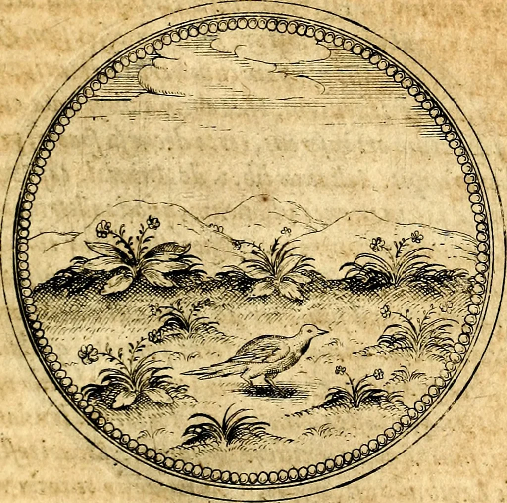 An illustration from Joachimi Camerarii Symbolorvm et emblematvm centvriæ tres. I. Ex herbis & stirpibus. II. Ex animalibus quadrupedibus. III. Ex volatilibus & insectis. Accessit noviter centvria IV. Ex aquatilibus & reptilibus. Cvm figvris æneis, 1605, leaf 558
