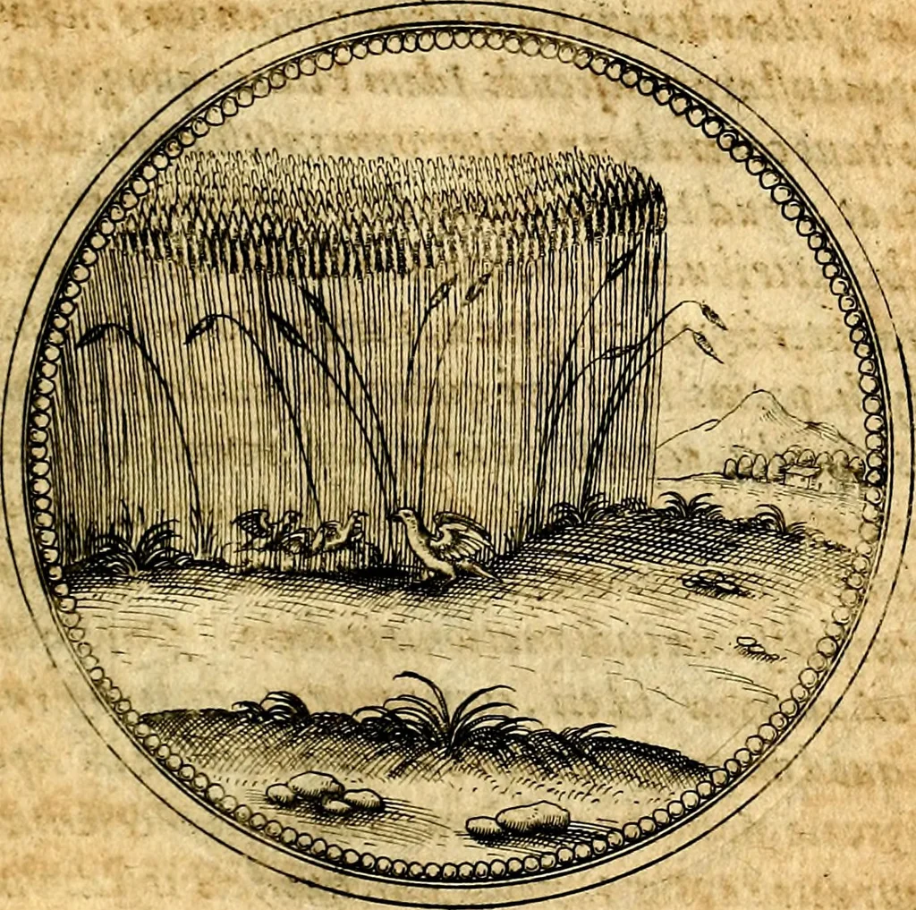 An illustration from Joachimi Camerarii Symbolorvm et emblematvm centvriæ tres. I. Ex herbis & stirpibus. II. Ex animalibus quadrupedibus. III. Ex volatilibus & insectis. Accessit noviter centvria IV. Ex aquatilibus & reptilibus. Cvm figvris æneis, 1605, leaf 562