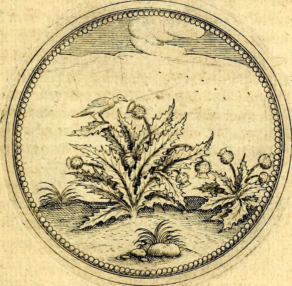 An illustration from Joachimi Camerarii Symbolorvm et emblematvm centvriæ tres. I. Ex herbis & stirpibus. II. Ex animalibus quadrupedibus. III. Ex volatilibus & insectis. Accessit noviter centvria IV. Ex aquatilibus & reptilibus. Cvm figvris æneis, 1605, leaf 566