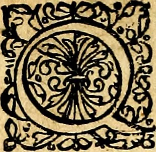 An illustration from Joachimi Camerarii Symbolorvm et emblematvm centvriæ tres. I. Ex herbis & stirpibus. II. Ex animalibus quadrupedibus. III. Ex volatilibus & insectis. Accessit noviter centvria IV. Ex aquatilibus & reptilibus. Cvm figvris æneis, 1605, leaf 569