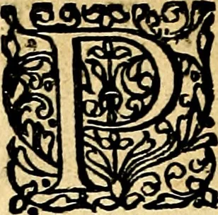 An illustration from Joachimi Camerarii Symbolorvm et emblematvm centvriæ tres. I. Ex herbis & stirpibus. II. Ex animalibus quadrupedibus. III. Ex volatilibus & insectis. Accessit noviter centvria IV. Ex aquatilibus & reptilibus. Cvm figvris æneis, 1605, leaf 573