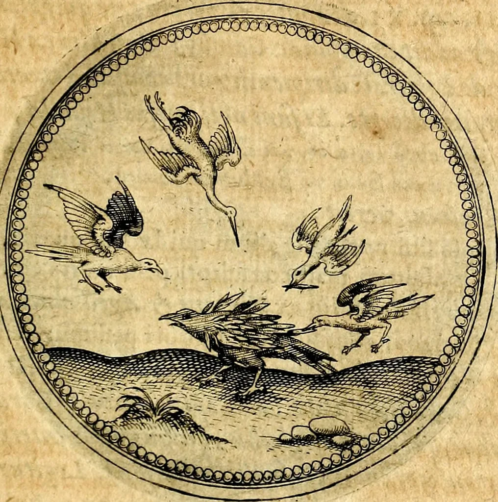 An illustration from Joachimi Camerarii Symbolorvm et emblematvm centvriæ tres. I. Ex herbis & stirpibus. II. Ex animalibus quadrupedibus. III. Ex volatilibus & insectis. Accessit noviter centvria IV. Ex aquatilibus & reptilibus. Cvm figvris æneis, 1605, leaf 578