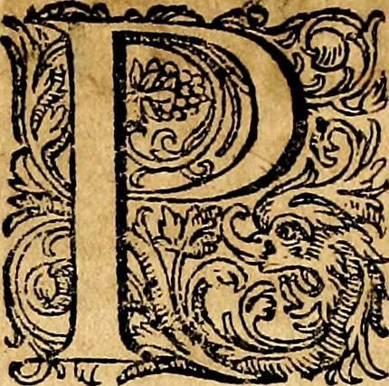 An illustration from Joachimi Camerarii Symbolorvm et emblematvm centvriæ tres. I. Ex herbis & stirpibus. II. Ex animalibus quadrupedibus. III. Ex volatilibus & insectis. Accessit noviter centvria IV. Ex aquatilibus & reptilibus. Cvm figvris æneis, 1605, leaf 581