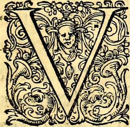 An illustration from Joachimi Camerarii Symbolorvm et emblematvm centvriæ tres. I. Ex herbis & stirpibus. II. Ex animalibus quadrupedibus. III. Ex volatilibus & insectis. Accessit noviter centvria IV. Ex aquatilibus & reptilibus. Cvm figvris æneis, 1605, leaf 6