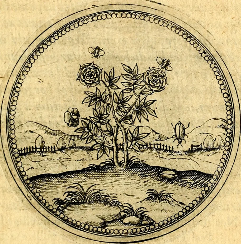 An illustration from Joachimi Camerarii Symbolorvm et emblematvm centvriæ tres. I. Ex herbis & stirpibus. II. Ex animalibus quadrupedibus. III. Ex volatilibus & insectis. Accessit noviter centvria IV. Ex aquatilibus & reptilibus. Cvm figvris æneis, 1605, leaf 600