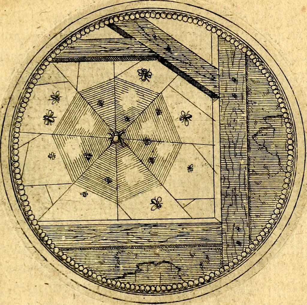 An illustration from Joachimi Camerarii Symbolorvm et emblematvm centvriæ tres. I. Ex herbis & stirpibus. II. Ex animalibus quadrupedibus. III. Ex volatilibus & insectis. Accessit noviter centvria IV. Ex aquatilibus & reptilibus. Cvm figvris æneis, 1605, leaf 612