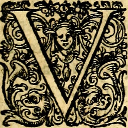 An illustration from Joachimi Camerarii Symbolorvm et emblematvm centvriæ tres. I. Ex herbis & stirpibus. II. Ex animalibus quadrupedibus. III. Ex volatilibus & insectis. Accessit noviter centvria IV. Ex aquatilibus & reptilibus. Cvm figvris æneis, 1605, leaf 626