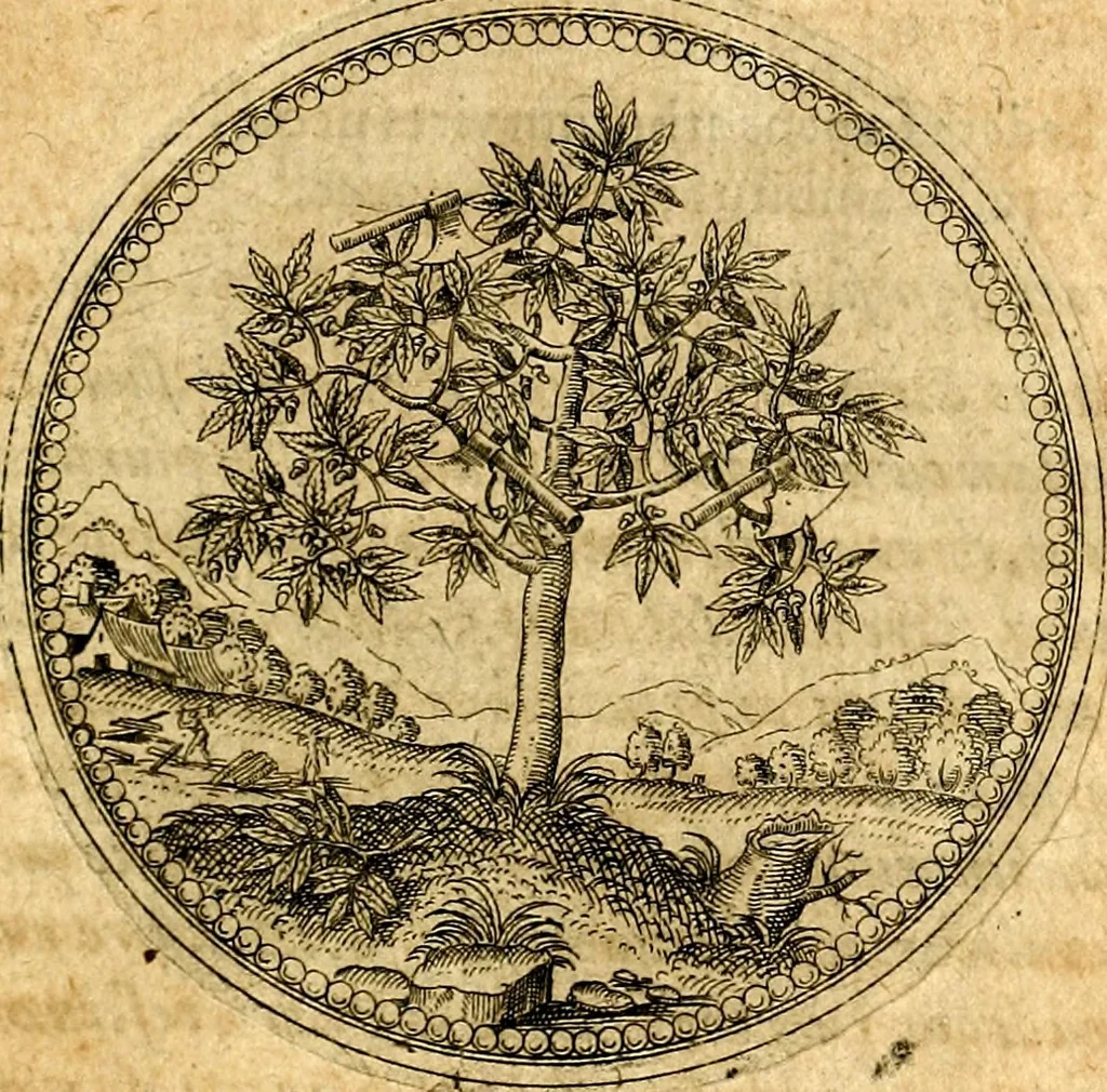 An illustration from Joachimi Camerarii Symbolorvm et emblematvm centvriæ tres. I. Ex herbis & stirpibus. II. Ex animalibus quadrupedibus. III. Ex volatilibus & insectis. Accessit noviter centvria IV. Ex aquatilibus & reptilibus. Cvm figvris æneis, 1605, leaf 66