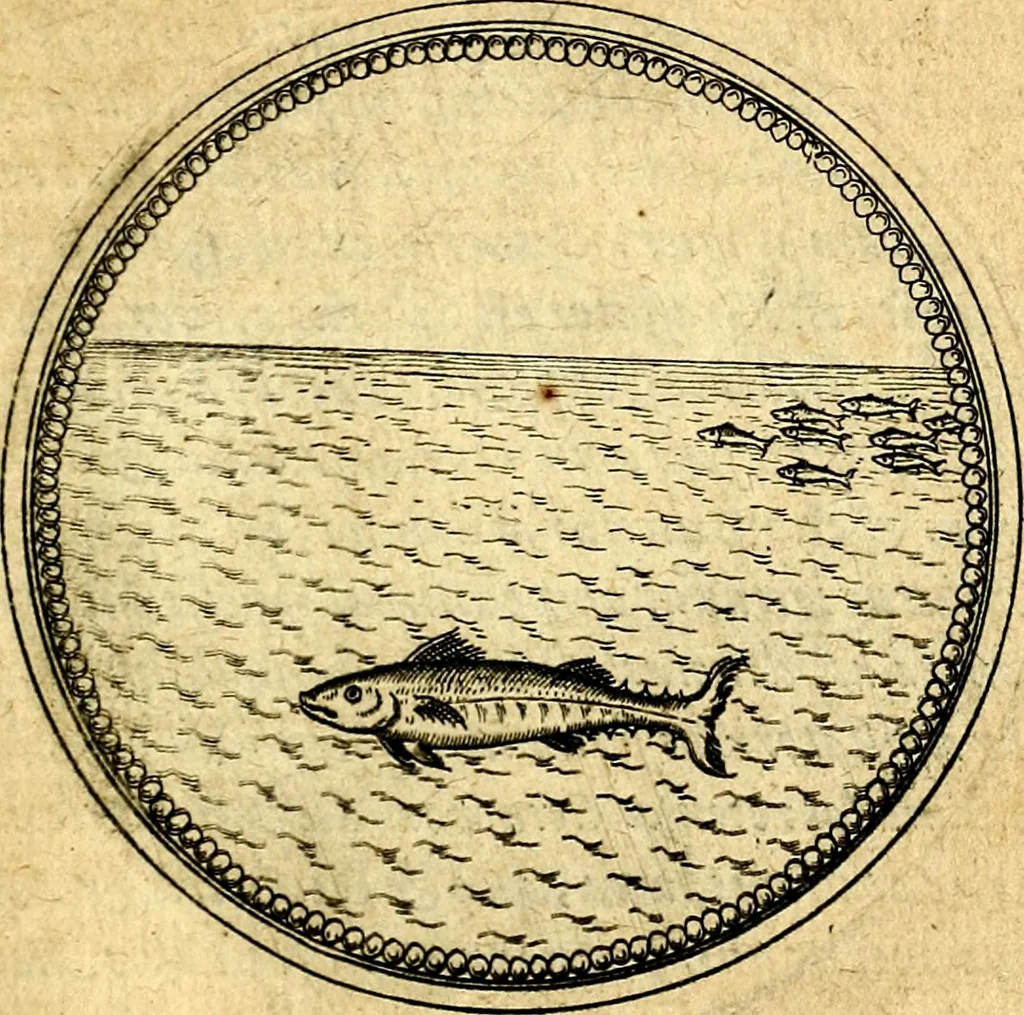An illustration from Joachimi Camerarii Symbolorvm et emblematvm centvriæ tres. I. Ex herbis & stirpibus. II. Ex animalibus quadrupedibus. III. Ex volatilibus & insectis. Accessit noviter centvria IV. Ex aquatilibus & reptilibus. Cvm figvris æneis, 1605, leaf 660
