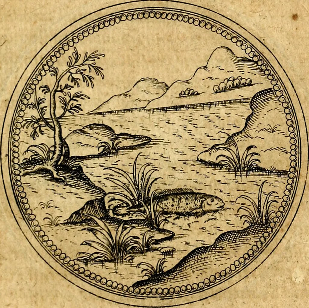 An illustration from Joachimi Camerarii Symbolorvm et emblematvm centvriæ tres. I. Ex herbis & stirpibus. II. Ex animalibus quadrupedibus. III. Ex volatilibus & insectis. Accessit noviter centvria IV. Ex aquatilibus & reptilibus. Cvm figvris æneis, 1605, leaf 670
