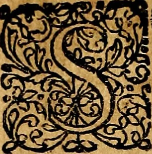 An illustration from Joachimi Camerarii Symbolorvm et emblematvm centvriæ tres. I. Ex herbis & stirpibus. II. Ex animalibus quadrupedibus. III. Ex volatilibus & insectis. Accessit noviter centvria IV. Ex aquatilibus & reptilibus. Cvm figvris æneis, 1605, leaf 671