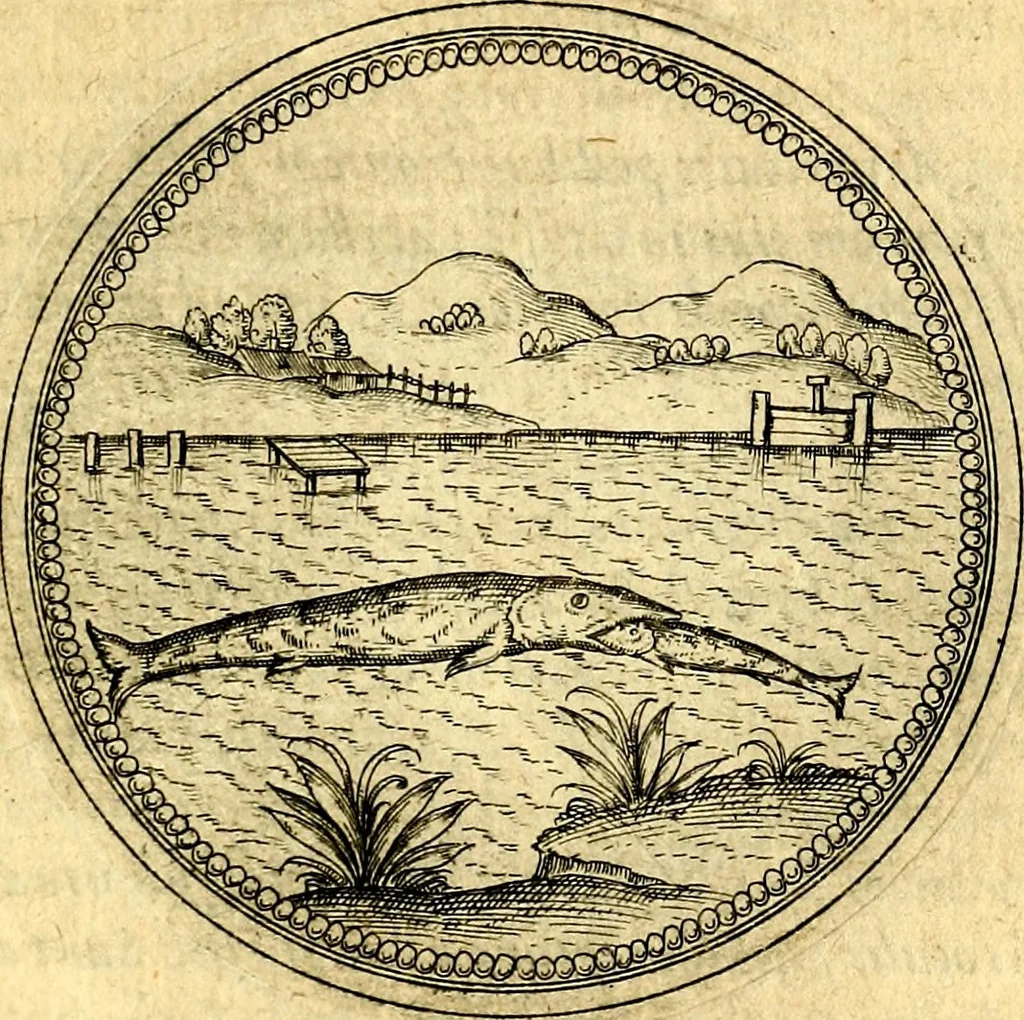 An illustration from Joachimi Camerarii Symbolorvm et emblematvm centvriæ tres. I. Ex herbis & stirpibus. II. Ex animalibus quadrupedibus. III. Ex volatilibus & insectis. Accessit noviter centvria IV. Ex aquatilibus & reptilibus. Cvm figvris æneis, 1605, leaf 678