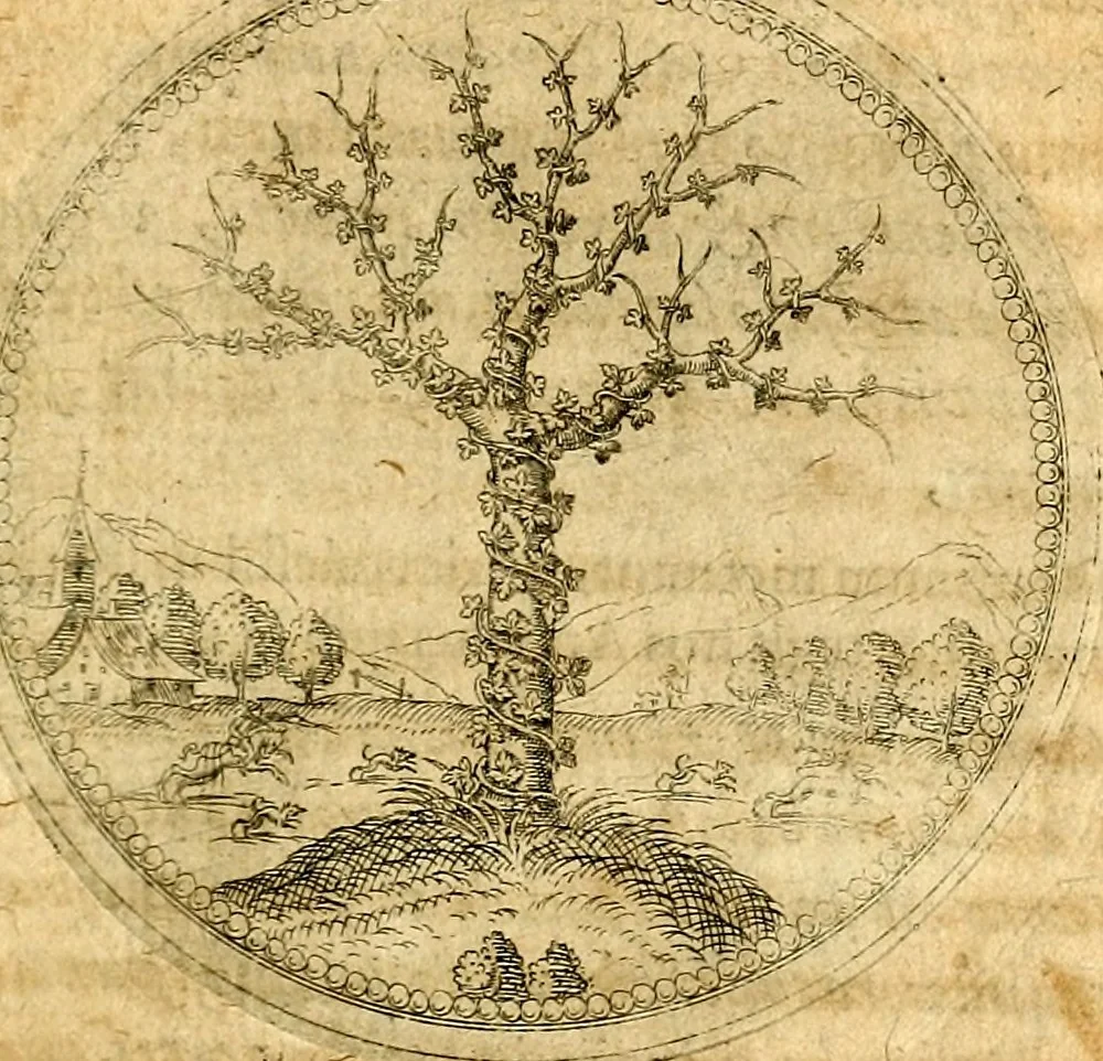 An illustration from Joachimi Camerarii Symbolorvm et emblematvm centvriæ tres. I. Ex herbis & stirpibus. II. Ex animalibus quadrupedibus. III. Ex volatilibus & insectis. Accessit noviter centvria IV. Ex aquatilibus & reptilibus. Cvm figvris æneis, 1605, leaf 68