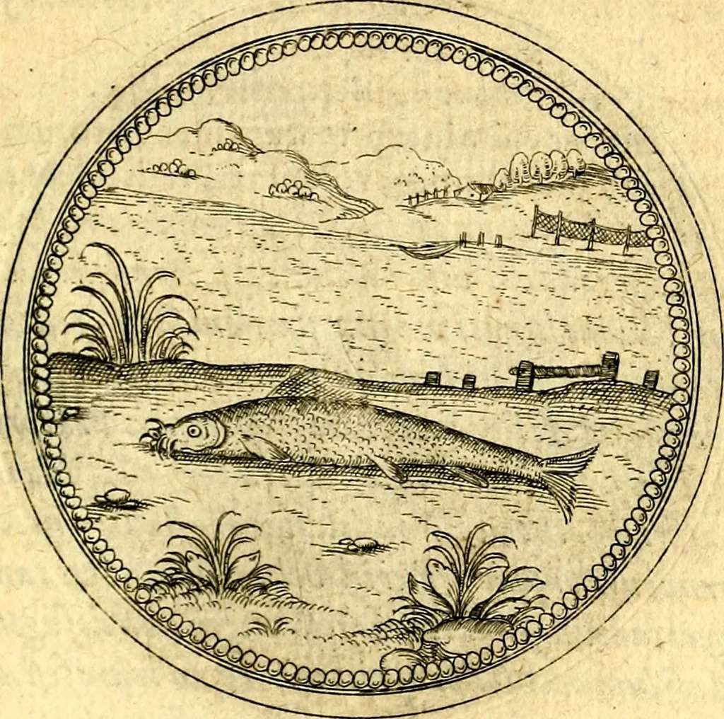 An illustration from Joachimi Camerarii Symbolorvm et emblematvm centvriæ tres. I. Ex herbis & stirpibus. II. Ex animalibus quadrupedibus. III. Ex volatilibus & insectis. Accessit noviter centvria IV. Ex aquatilibus & reptilibus. Cvm figvris æneis, 1605, leaf 682