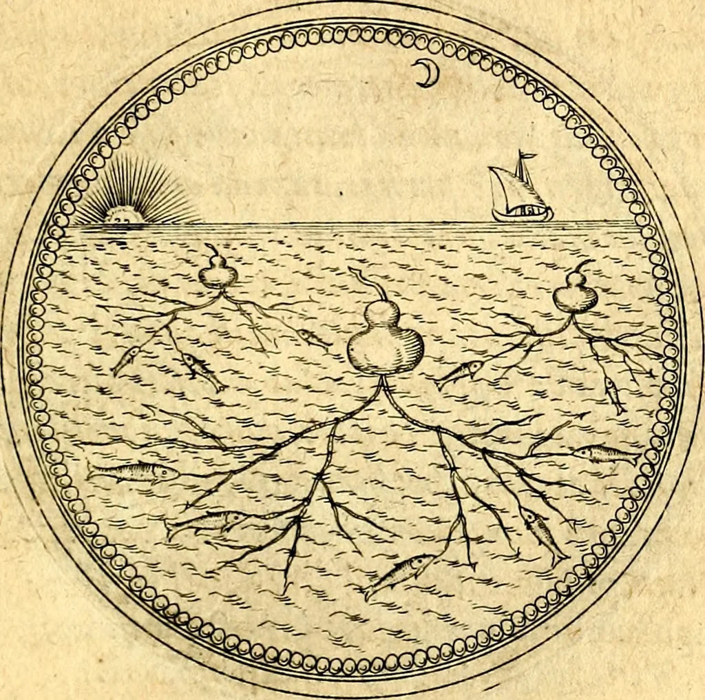 An illustration from Joachimi Camerarii Symbolorvm et emblematvm centvriæ tres. I. Ex herbis & stirpibus. II. Ex animalibus quadrupedibus. III. Ex volatilibus & insectis. Accessit noviter centvria IV. Ex aquatilibus & reptilibus. Cvm figvris æneis, 1605, leaf 690