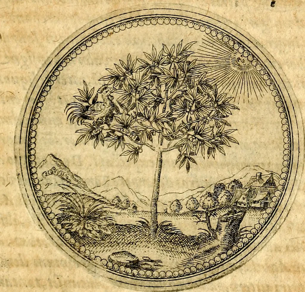 An illustration from Joachimi Camerarii Symbolorvm et emblematvm centvriæ tres. I. Ex herbis & stirpibus. II. Ex animalibus quadrupedibus. III. Ex volatilibus & insectis. Accessit noviter centvria IV. Ex aquatilibus & reptilibus. Cvm figvris æneis, 1605, leaf 70