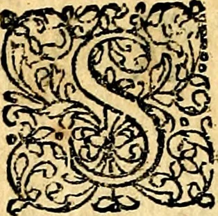 An illustration from Joachimi Camerarii Symbolorvm et emblematvm centvriæ tres. I. Ex herbis & stirpibus. II. Ex animalibus quadrupedibus. III. Ex volatilibus & insectis. Accessit noviter centvria IV. Ex aquatilibus & reptilibus. Cvm figvris æneis, 1605, leaf 705