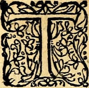 An illustration from Joachimi Camerarii Symbolorvm et emblematvm centvriæ tres. I. Ex herbis & stirpibus. II. Ex animalibus quadrupedibus. III. Ex volatilibus & insectis. Accessit noviter centvria IV. Ex aquatilibus & reptilibus. Cvm figvris æneis, 1605, leaf 709
