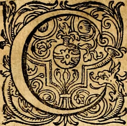 An illustration from Joachimi Camerarii Symbolorvm et emblematvm centvriæ tres. I. Ex herbis & stirpibus. II. Ex animalibus quadrupedibus. III. Ex volatilibus & insectis. Accessit noviter centvria IV. Ex aquatilibus & reptilibus. Cvm figvris æneis, 1605, leaf 71