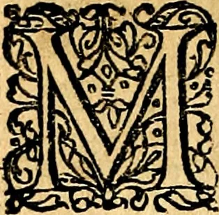 An illustration from Joachimi Camerarii Symbolorvm et emblematvm centvriæ tres. I. Ex herbis & stirpibus. II. Ex animalibus quadrupedibus. III. Ex volatilibus & insectis. Accessit noviter centvria IV. Ex aquatilibus & reptilibus. Cvm figvris æneis, 1605, leaf 715