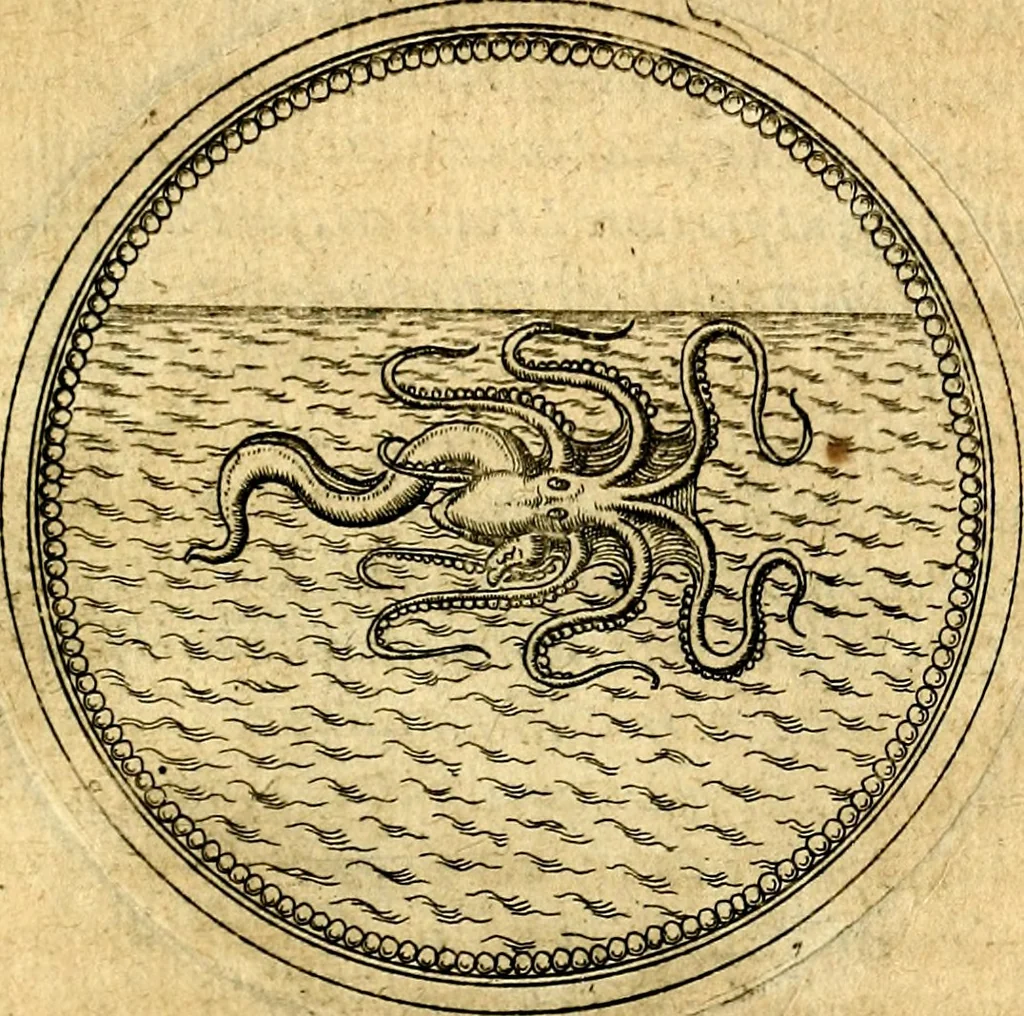 An illustration from Joachimi Camerarii Symbolorvm et emblematvm centvriæ tres. I. Ex herbis & stirpibus. II. Ex animalibus quadrupedibus. III. Ex volatilibus & insectis. Accessit noviter centvria IV. Ex aquatilibus & reptilibus. Cvm figvris æneis, 1605, leaf 716