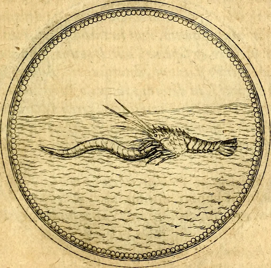 An illustration from Joachimi Camerarii Symbolorvm et emblematvm centvriæ tres. I. Ex herbis & stirpibus. II. Ex animalibus quadrupedibus. III. Ex volatilibus & insectis. Accessit noviter centvria IV. Ex aquatilibus & reptilibus. Cvm figvris æneis, 1605, leaf 718