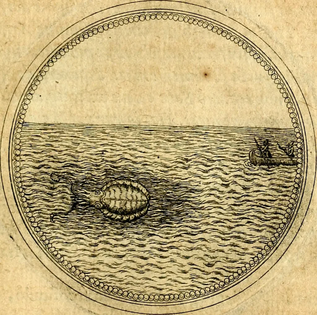 An illustration from Joachimi Camerarii Symbolorvm et emblematvm centvriæ tres. I. Ex herbis & stirpibus. II. Ex animalibus quadrupedibus. III. Ex volatilibus & insectis. Accessit noviter centvria IV. Ex aquatilibus & reptilibus. Cvm figvris æneis, 1605, leaf 724