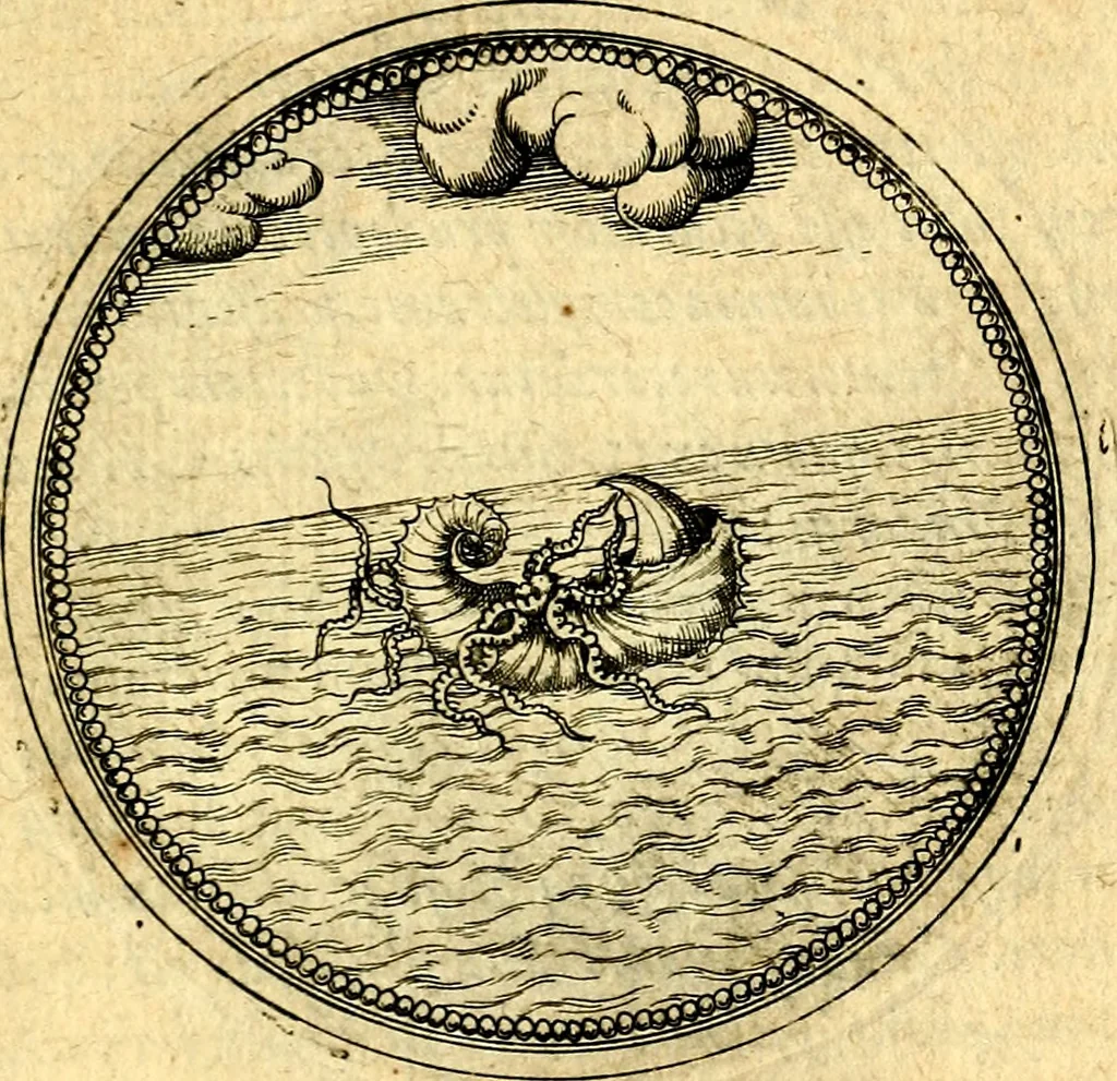 An illustration from Joachimi Camerarii Symbolorvm et emblematvm centvriæ tres. I. Ex herbis & stirpibus. II. Ex animalibus quadrupedibus. III. Ex volatilibus & insectis. Accessit noviter centvria IV. Ex aquatilibus & reptilibus. Cvm figvris æneis, 1605, leaf 728