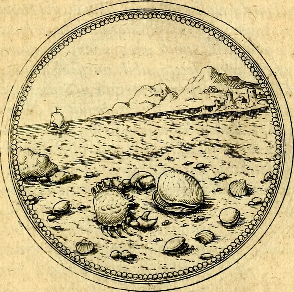 An illustration from Joachimi Camerarii Symbolorvm et emblematvm centvriæ tres. I. Ex herbis & stirpibus. II. Ex animalibus quadrupedibus. III. Ex volatilibus & insectis. Accessit noviter centvria IV. Ex aquatilibus & reptilibus. Cvm figvris æneis, 1605, leaf 734