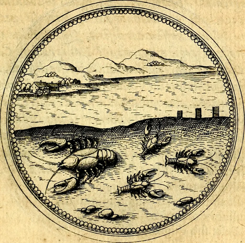 An illustration from Joachimi Camerarii Symbolorvm et emblematvm centvriæ tres. I. Ex herbis & stirpibus. II. Ex animalibus quadrupedibus. III. Ex volatilibus & insectis. Accessit noviter centvria IV. Ex aquatilibus & reptilibus. Cvm figvris æneis, 1605, leaf 740