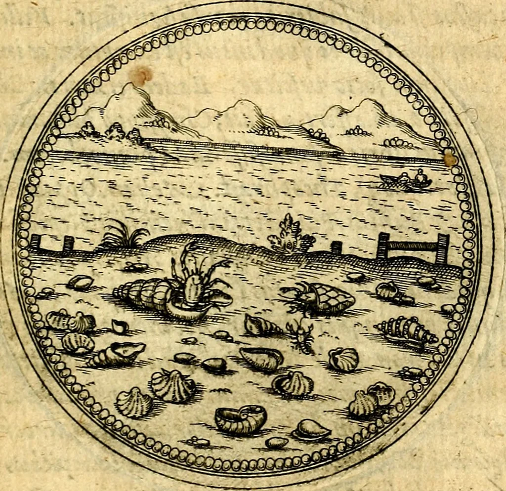 An illustration from Joachimi Camerarii Symbolorvm et emblematvm centvriæ tres. I. Ex herbis & stirpibus. II. Ex animalibus quadrupedibus. III. Ex volatilibus & insectis. Accessit noviter centvria IV. Ex aquatilibus & reptilibus. Cvm figvris æneis, 1605, leaf 742