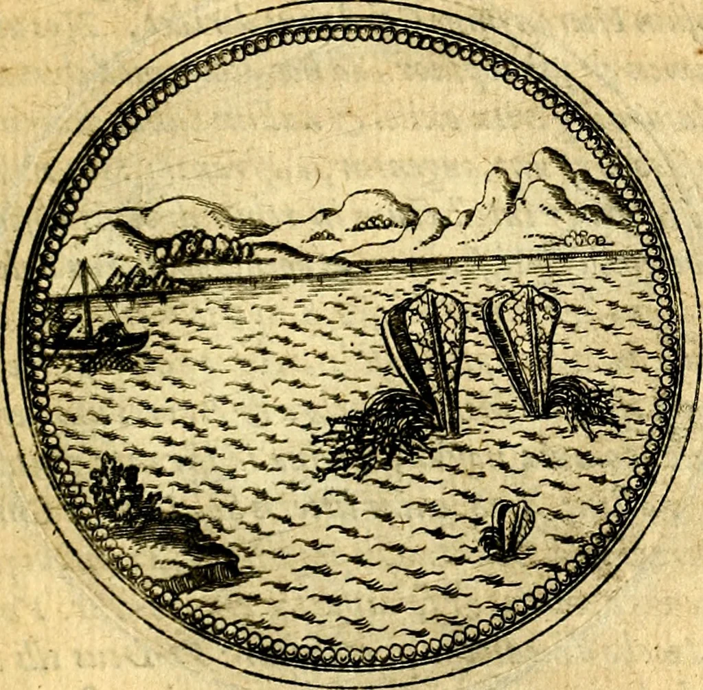 An illustration from Joachimi Camerarii Symbolorvm et emblematvm centvriæ tres. I. Ex herbis & stirpibus. II. Ex animalibus quadrupedibus. III. Ex volatilibus & insectis. Accessit noviter centvria IV. Ex aquatilibus & reptilibus. Cvm figvris æneis, 1605, leaf 746