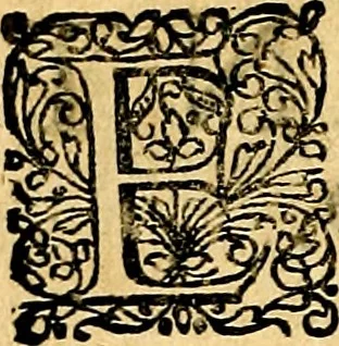 An illustration from Joachimi Camerarii Symbolorvm et emblematvm centvriæ tres. I. Ex herbis & stirpibus. II. Ex animalibus quadrupedibus. III. Ex volatilibus & insectis. Accessit noviter centvria IV. Ex aquatilibus & reptilibus. Cvm figvris æneis, 1605, leaf 749