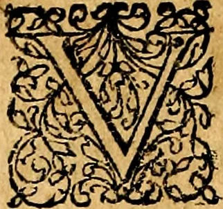 An illustration from Joachimi Camerarii Symbolorvm et emblematvm centvriæ tres. I. Ex herbis & stirpibus. II. Ex animalibus quadrupedibus. III. Ex volatilibus & insectis. Accessit noviter centvria IV. Ex aquatilibus & reptilibus. Cvm figvris æneis, 1605, leaf 753
