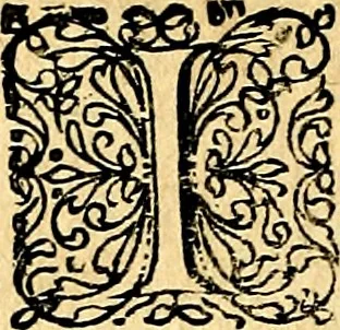 An illustration from Joachimi Camerarii Symbolorvm et emblematvm centvriæ tres. I. Ex herbis & stirpibus. II. Ex animalibus quadrupedibus. III. Ex volatilibus & insectis. Accessit noviter centvria IV. Ex aquatilibus & reptilibus. Cvm figvris æneis, 1605, leaf 759