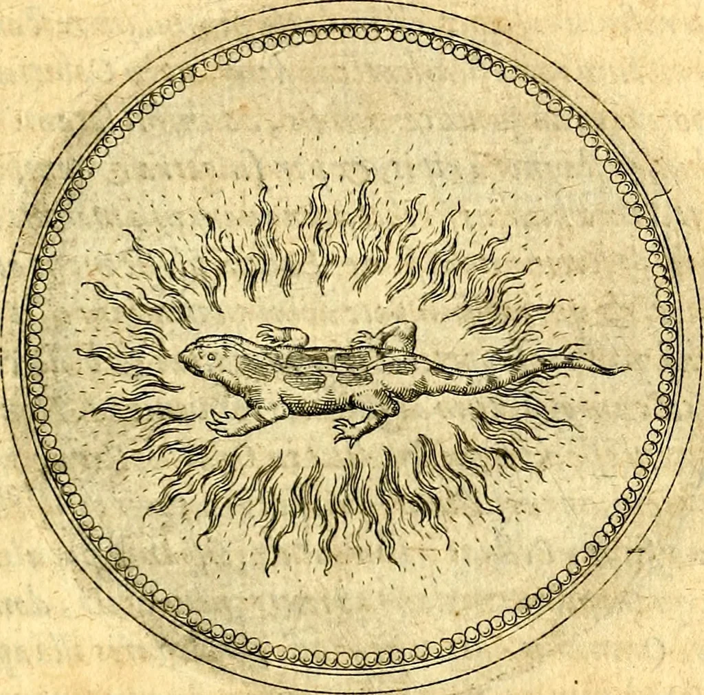 An illustration from Joachimi Camerarii Symbolorvm et emblematvm centvriæ tres. I. Ex herbis & stirpibus. II. Ex animalibus quadrupedibus. III. Ex volatilibus & insectis. Accessit noviter centvria IV. Ex aquatilibus & reptilibus. Cvm figvris æneis, 1605, leaf 768