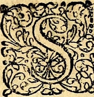 An illustration from Joachimi Camerarii Symbolorvm et emblematvm centvriæ tres. I. Ex herbis & stirpibus. II. Ex animalibus quadrupedibus. III. Ex volatilibus & insectis. Accessit noviter centvria IV. Ex aquatilibus & reptilibus. Cvm figvris æneis, 1605, leaf 769