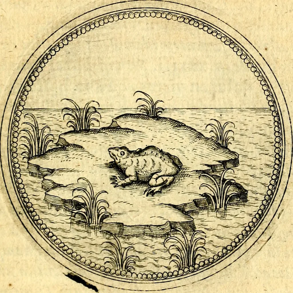 An illustration from Joachimi Camerarii Symbolorvm et emblematvm centvriæ tres. I. Ex herbis & stirpibus. II. Ex animalibus quadrupedibus. III. Ex volatilibus & insectis. Accessit noviter centvria IV. Ex aquatilibus & reptilibus. Cvm figvris æneis, 1605, leaf 772