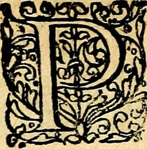 An illustration from Joachimi Camerarii Symbolorvm et emblematvm centvriæ tres. I. Ex herbis & stirpibus. II. Ex animalibus quadrupedibus. III. Ex volatilibus & insectis. Accessit noviter centvria IV. Ex aquatilibus & reptilibus. Cvm figvris æneis, 1605, leaf 779